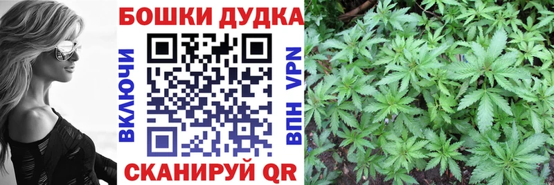 Где найти наркотики Сычёвка Alpha-PVP  Мефедрон  Гашиш  KRAKEN зеркало  МАРИХУАНА 