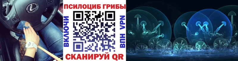 наркотики  Сычёвка  Галлюциногенные грибы прущие грибы 